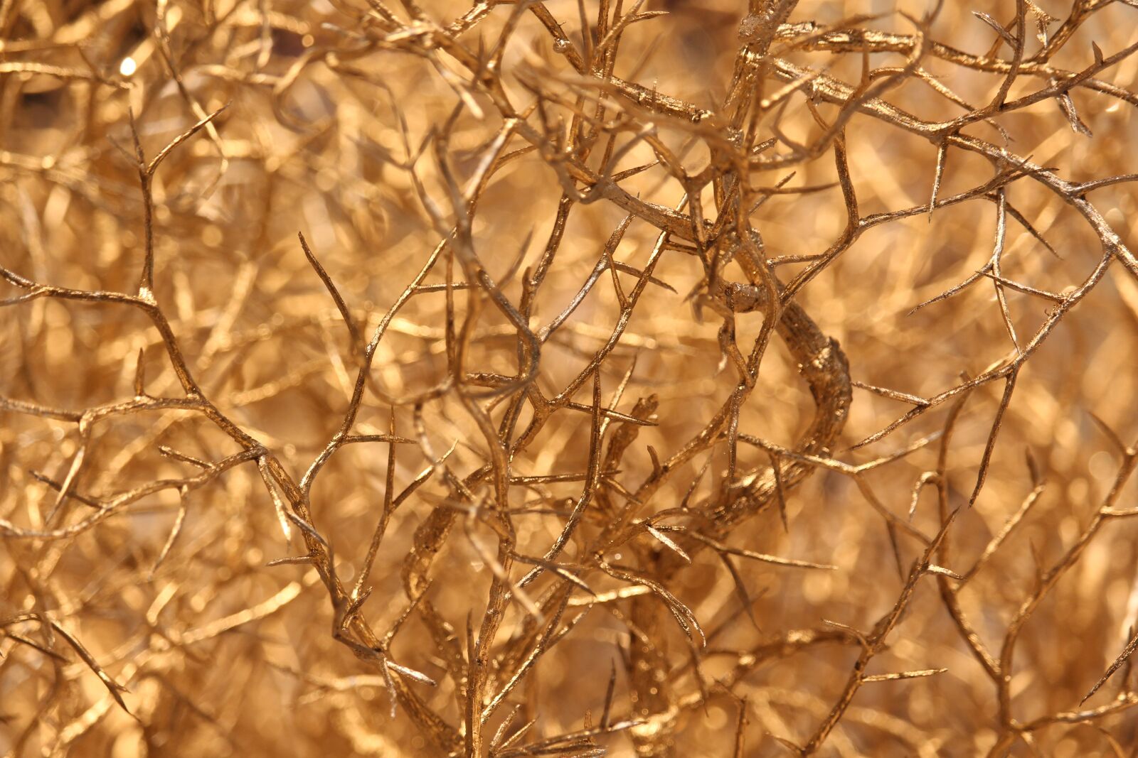 Canon EF-S 55-250mm F4-5.6 IS STM sample photo. Gloss, golden branch, christmas photography