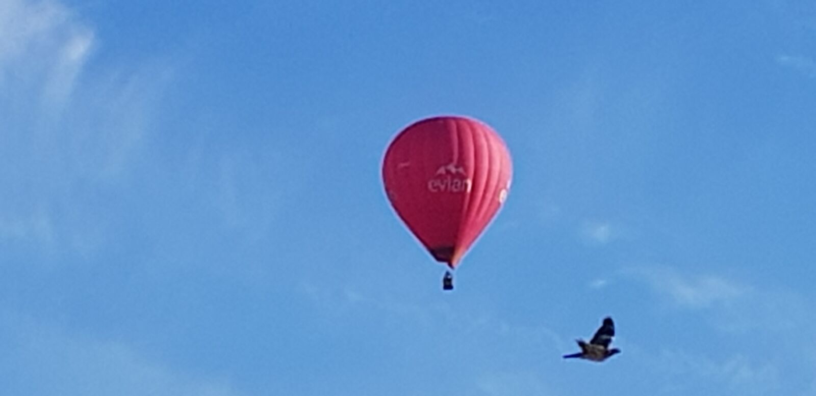 Samsung Galaxy S8 sample photo. Hot-air ballooning, flight bird photography