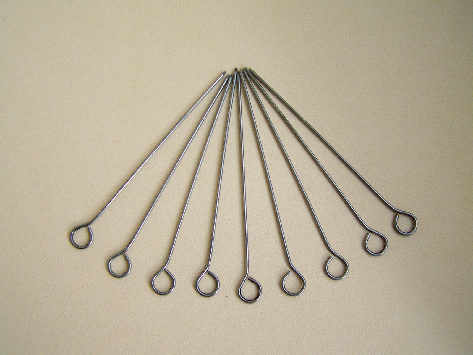 Kodak EASYSHARE ZD710 ZOOM DIGITAL CAMERA sample photo. Meat needles, metal, kitchen photography