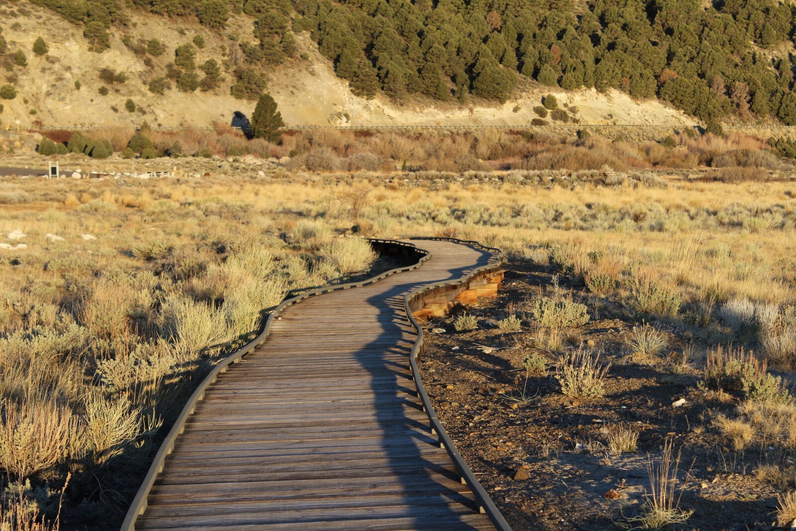 Canon EOS 1200D (EOS Rebel T5 / EOS Kiss X70 / EOS Hi) sample photo. Trail, pier, hike photography