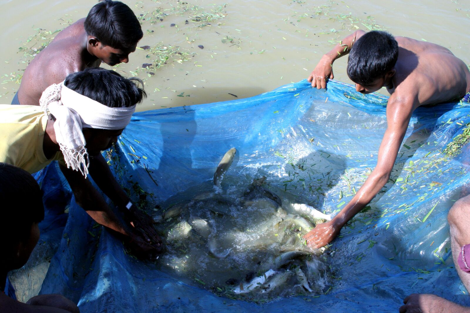 Canon EOS 350D (EOS Digital Rebel XT / EOS Kiss Digital N) sample photo. Nepal, villagers, trained, rasie photography