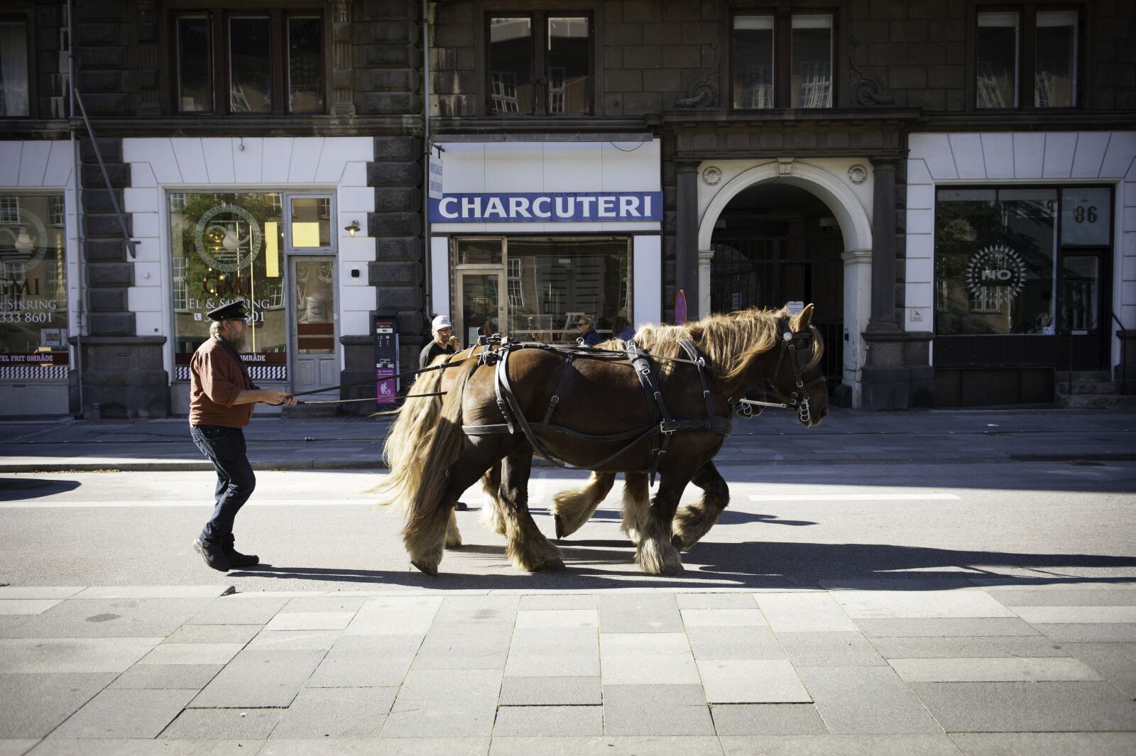 Nikon D3 sample photo. Copenhagen, horses, denmark photography