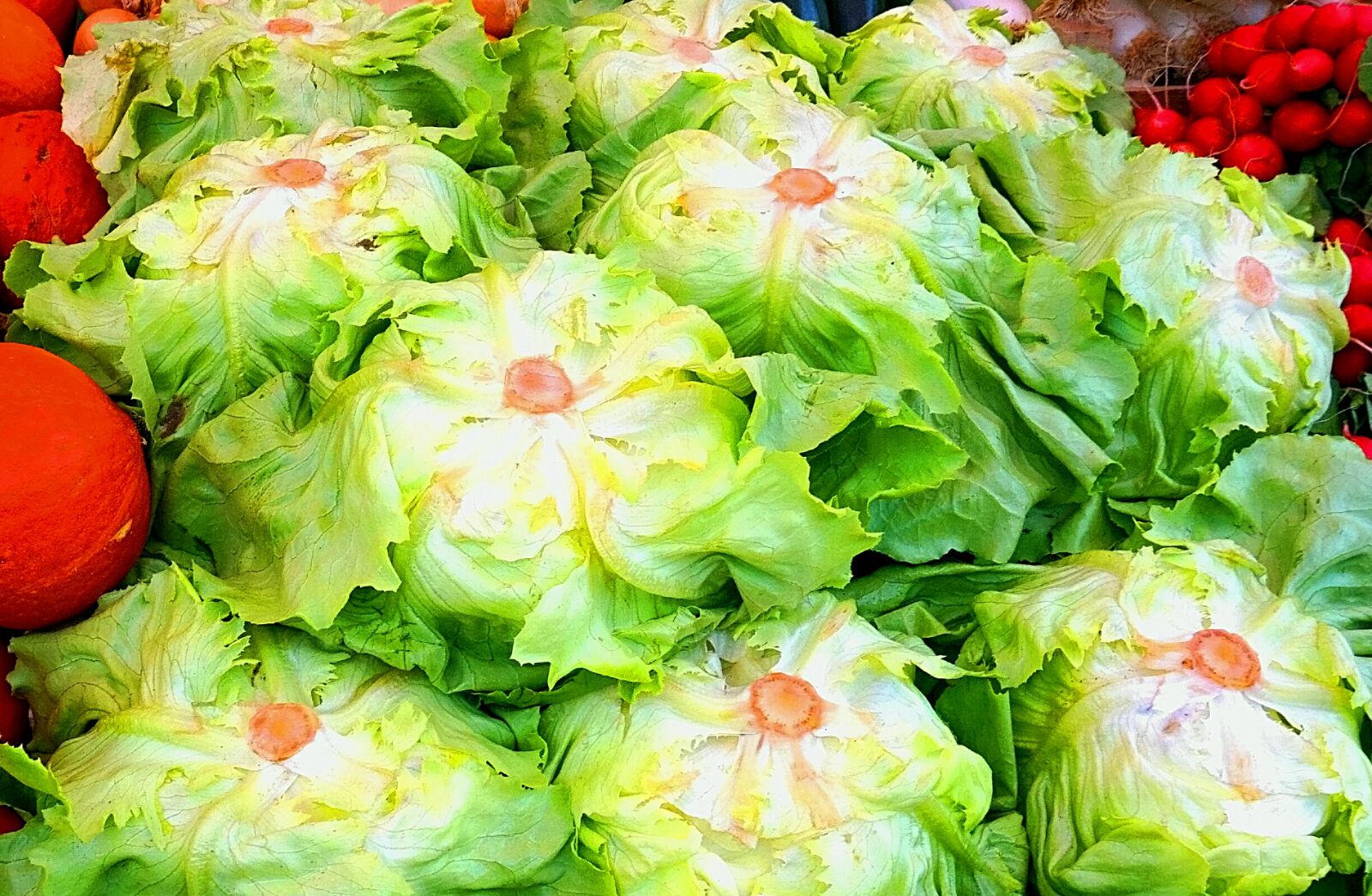 Sony Alpha a5000 (ILCE 5000) sample photo. Food, healthy, salad photography