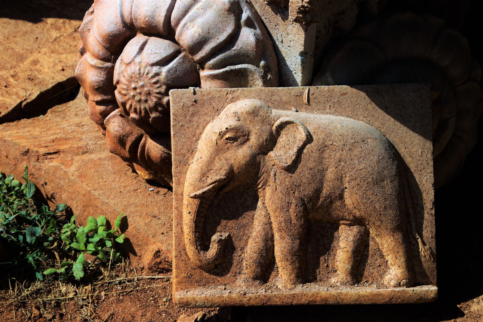Canon EOS 80D sample photo. Elephant, culture, sri lanka photography