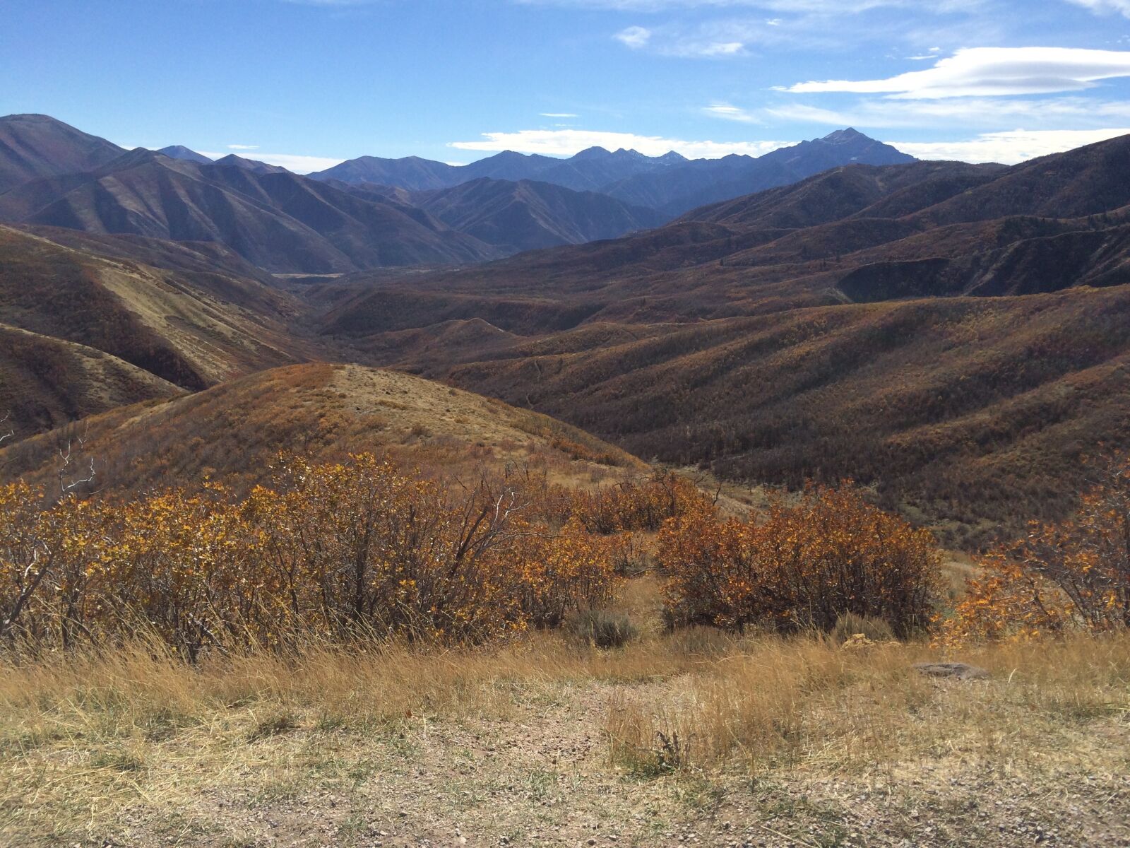 Apple iPhone 5s sample photo. Fall, mountains, utah photography