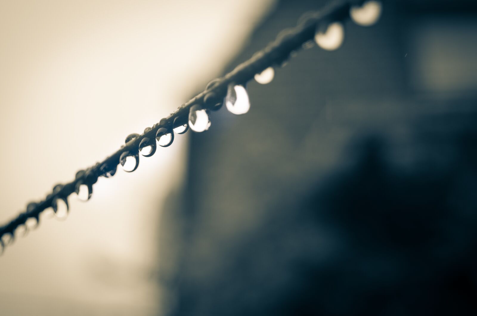 Sony SLT-A57 sample photo. Dripping, water dripping, clothes photography