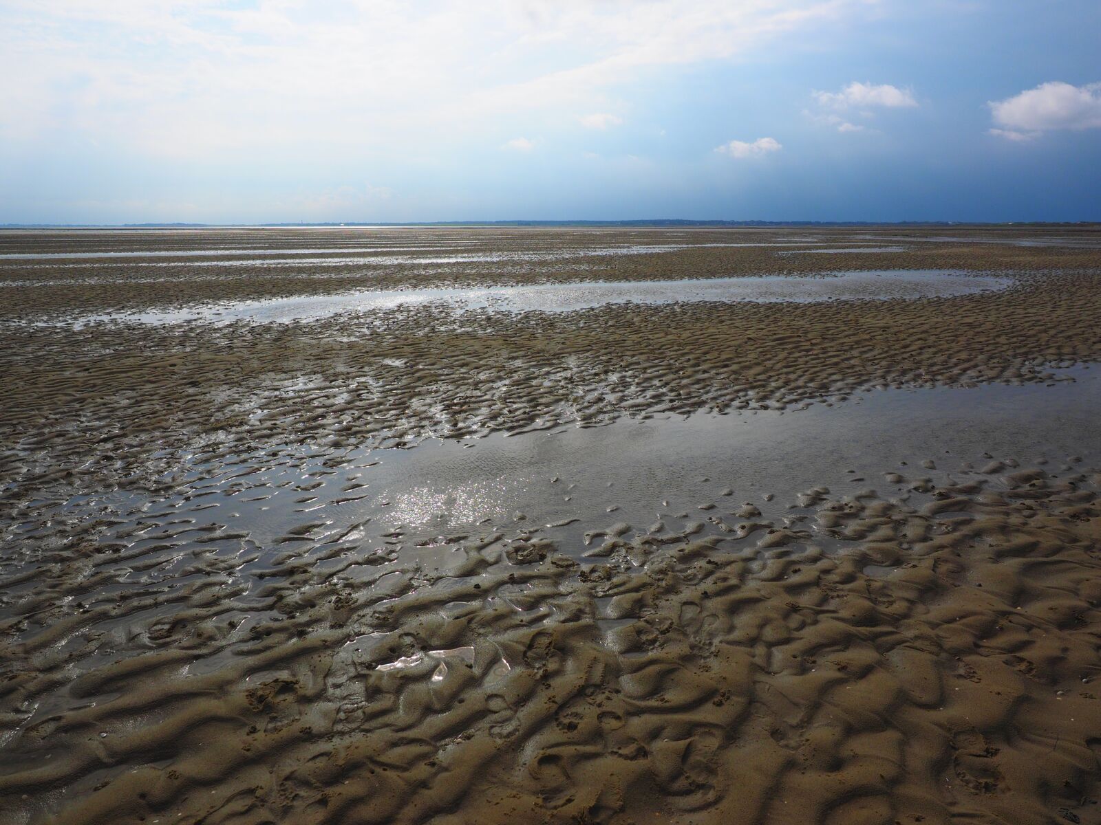Olympus OM-D E-M1 + Olympus M.Zuiko Digital ED 12-40mm F2.8 Pro sample photo. Shallow, watts, wadden sea photography
