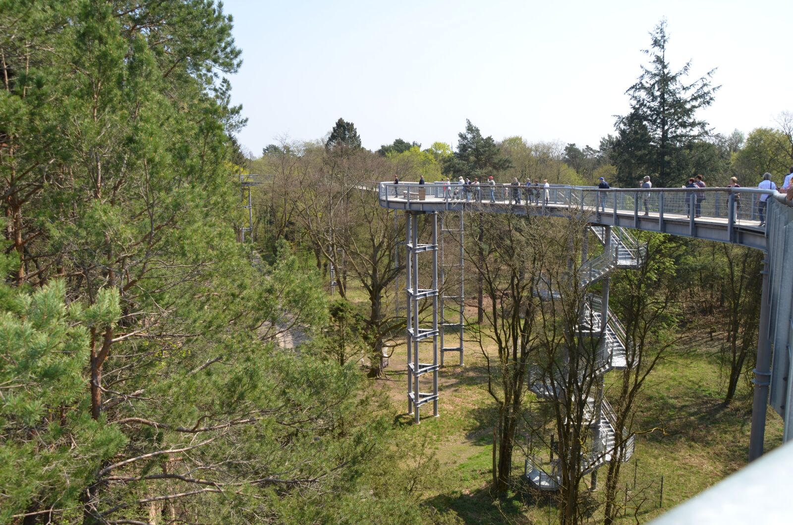 Nikon D5100 sample photo. Treetop path, forest, landscape photography