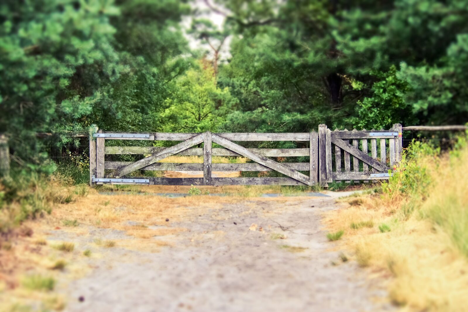 Olympus OM-D E-M10 sample photo. Goal, gate, fence photography