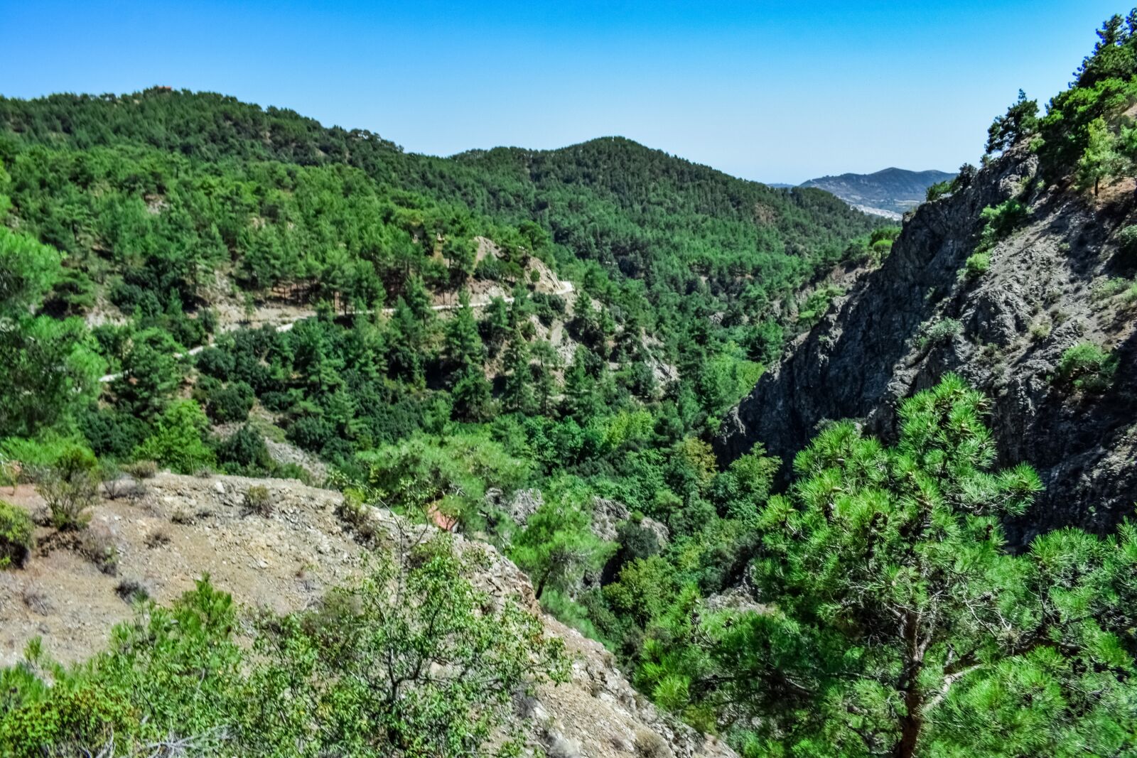 Nikon D3300 sample photo. Mountain, forest, pines photography