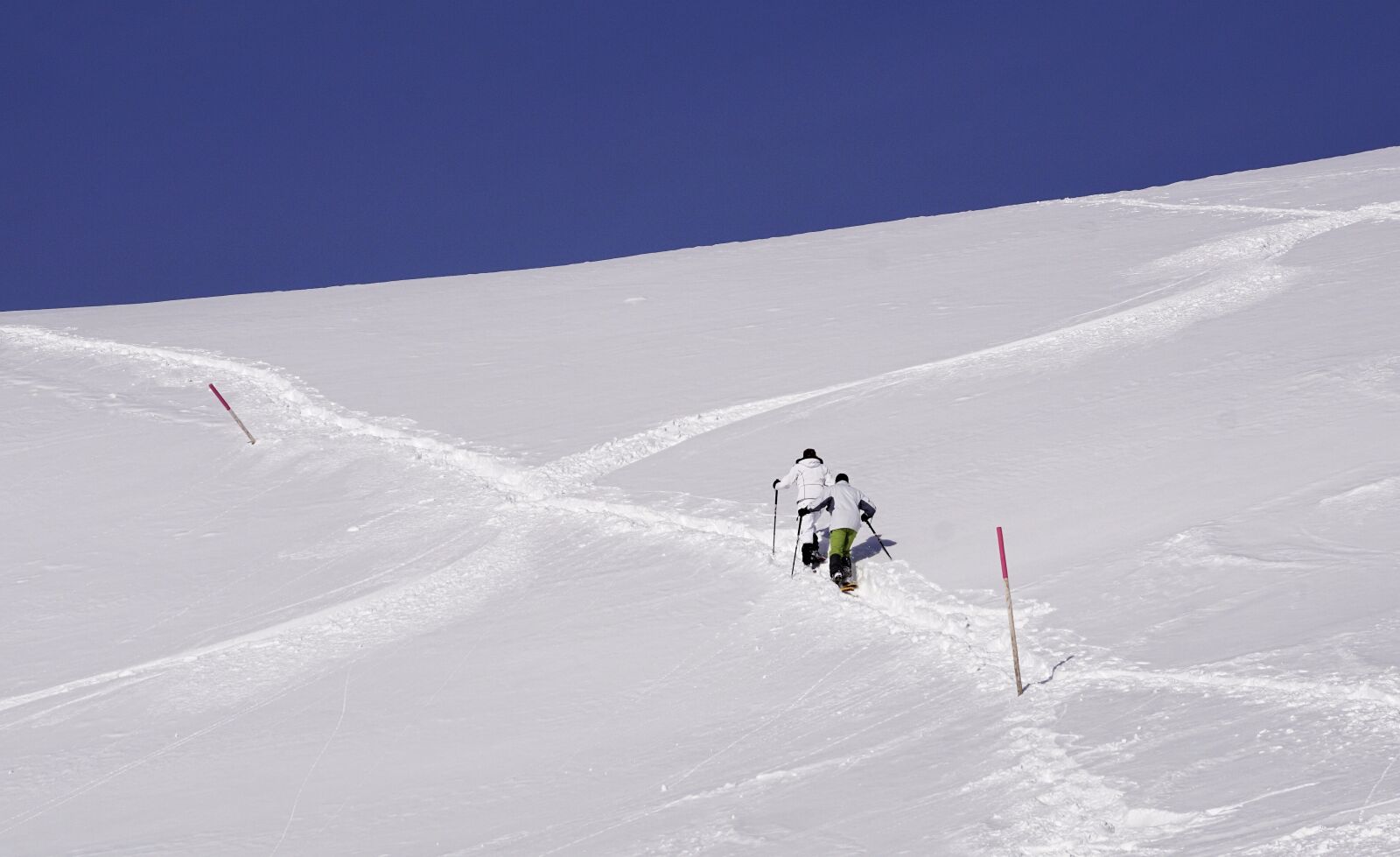 Sony DT 55-300mm F4.5-5.6 SAM sample photo. Snow, winter, cold photography