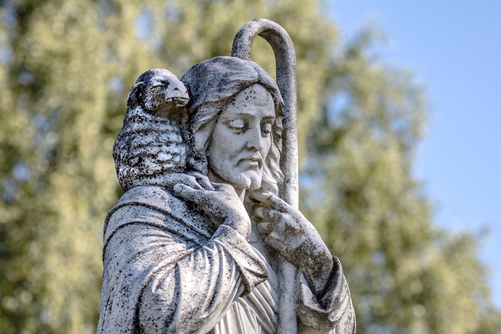 Canon EOS 750D (EOS Rebel T6i / EOS Kiss X8i) sample photo. Jesus, the good shepherd photography