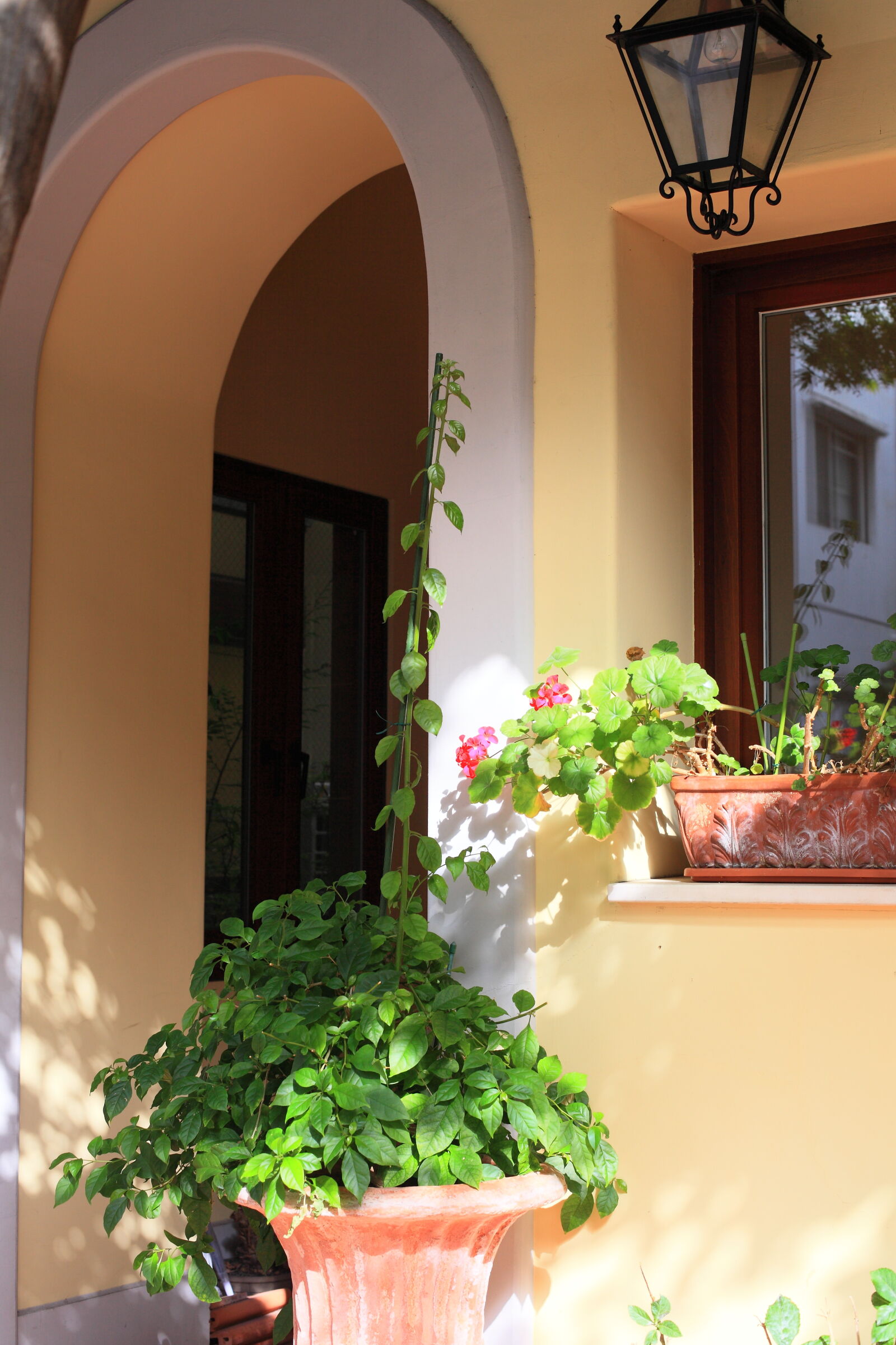 Canon EOS 5D Mark II sample photo. Basil, building, entrance, green photography