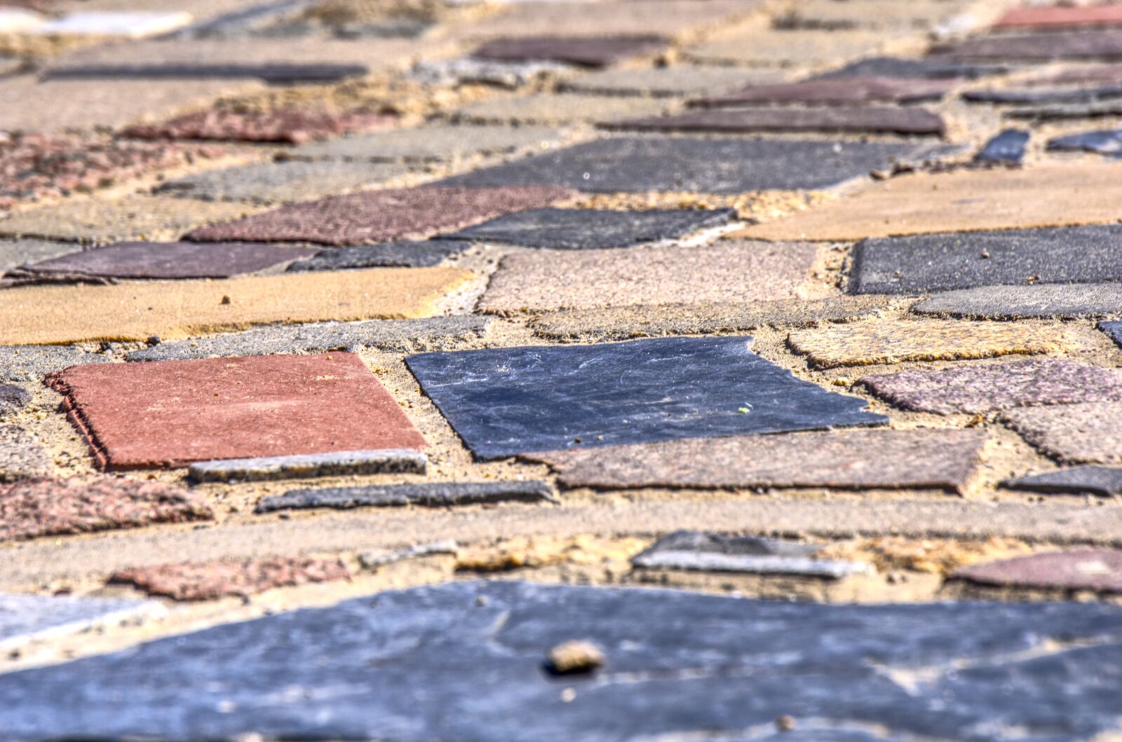 Sony a6000 sample photo. Pattern, structure, background photography