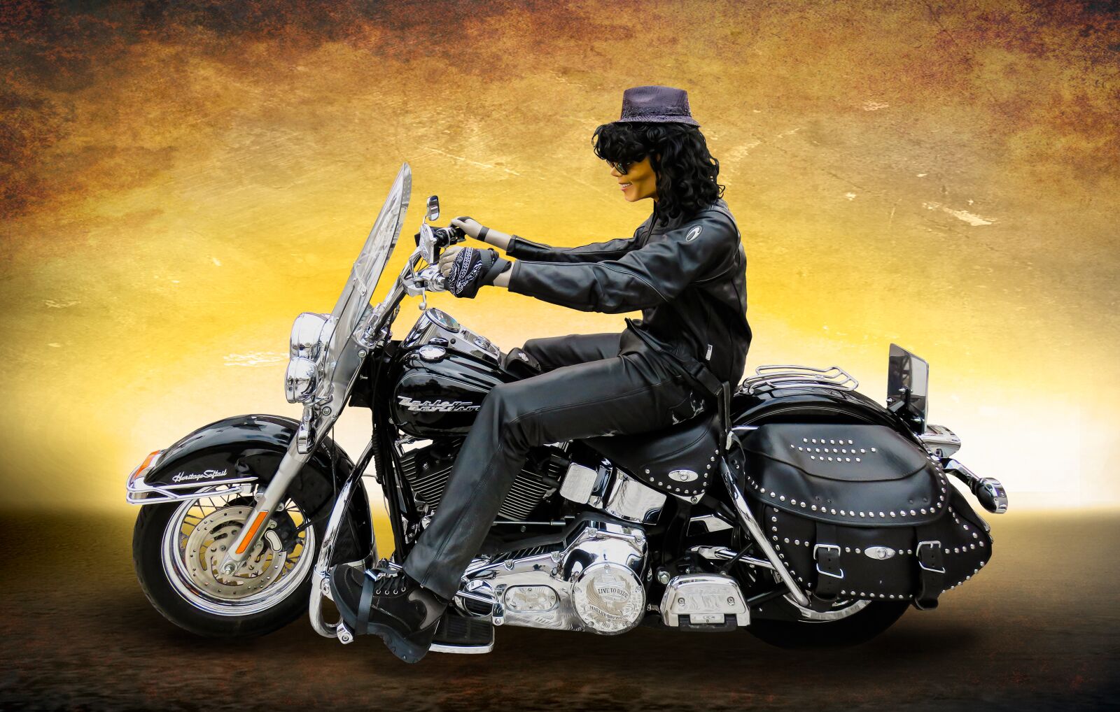 Canon EF 24-105mm F4L IS USM sample photo. Vehicle, motorcycle, harley photography