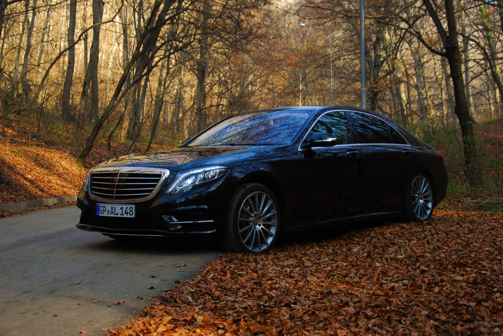 Nikon D200 sample photo. Autumn, car, leaf, mercedes photography