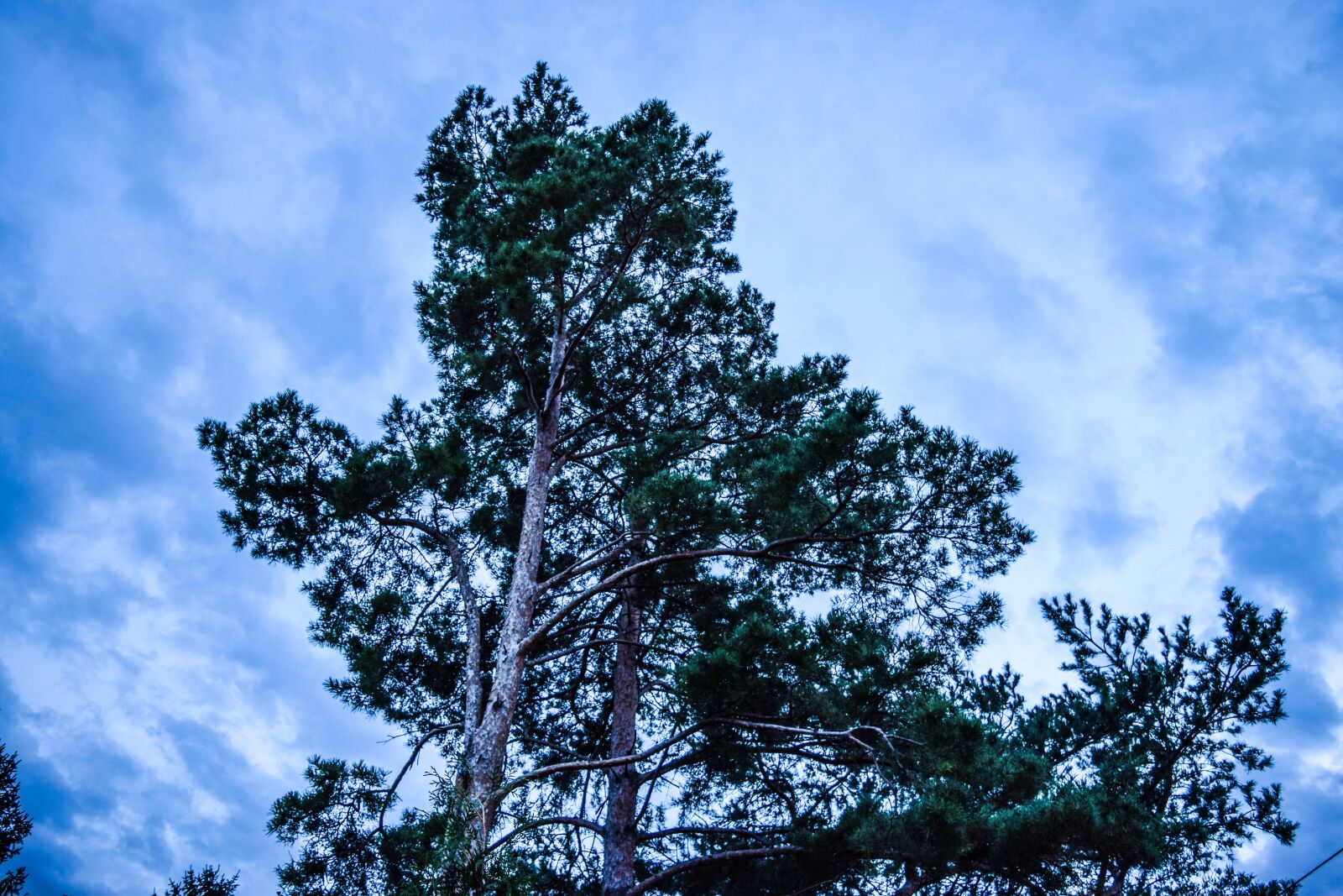 Nikon D3300 sample photo. Sky, abendstimmung, silent photography