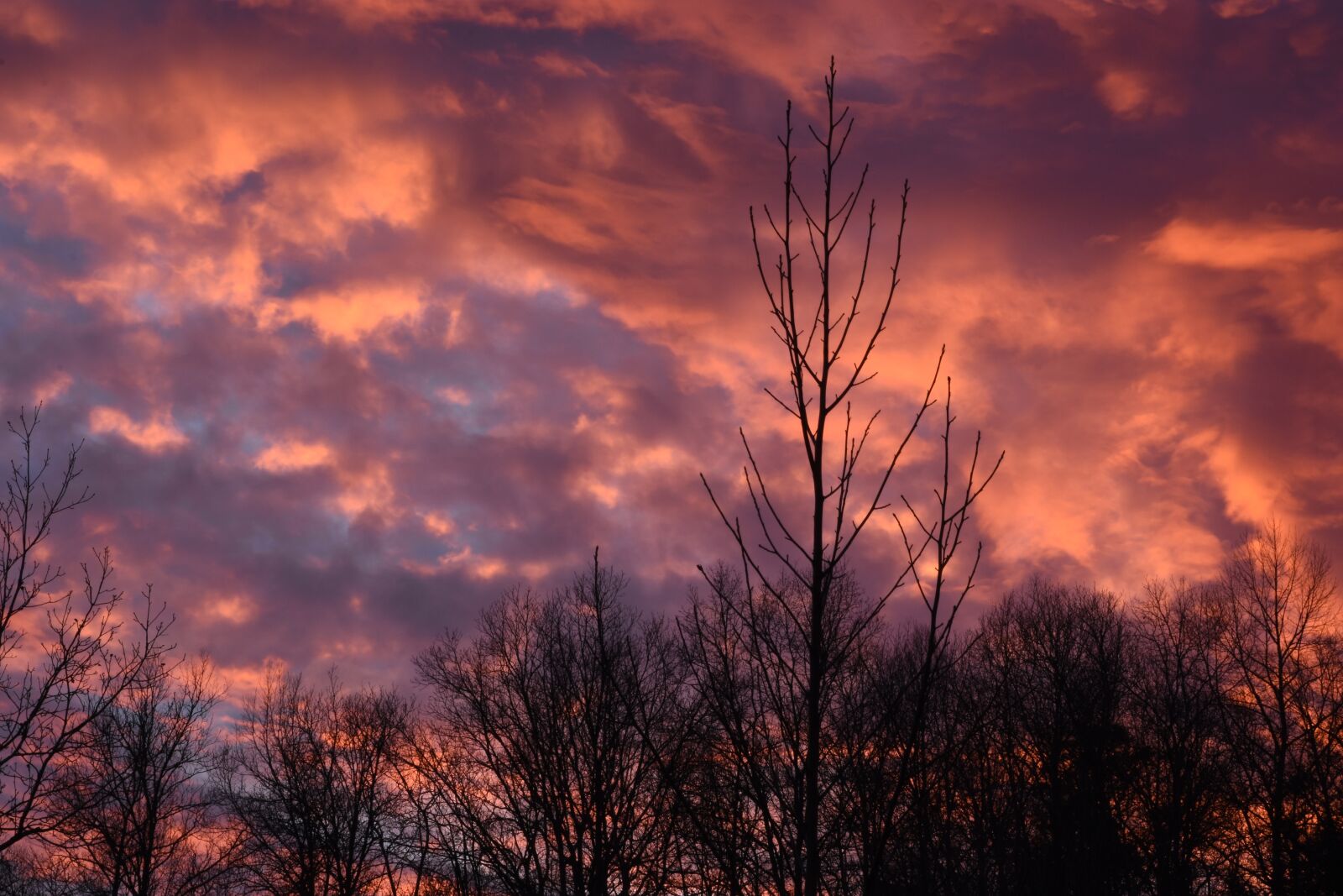 Nikon D7200 sample photo. Sunset, clouds, sky photography
