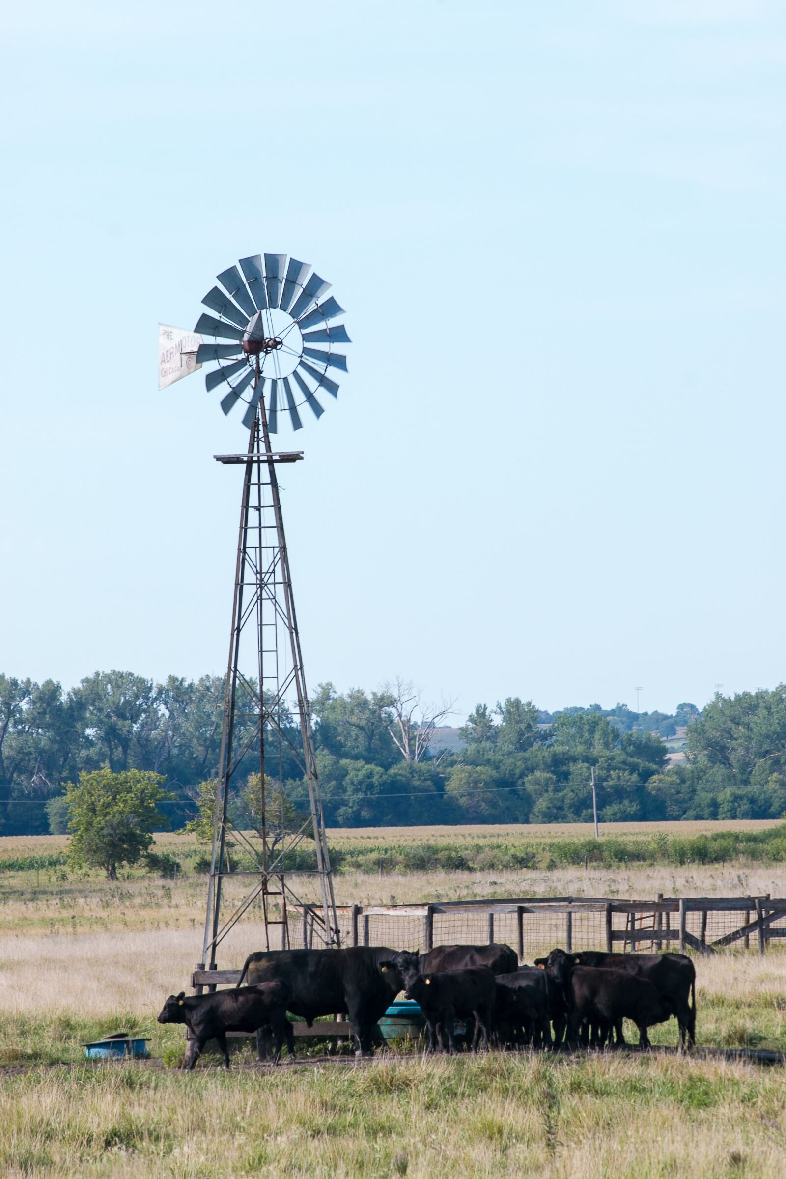 Canon EF 70-300mm F4-5.6 IS USM sample photo. Windmill, cows, prairie photography