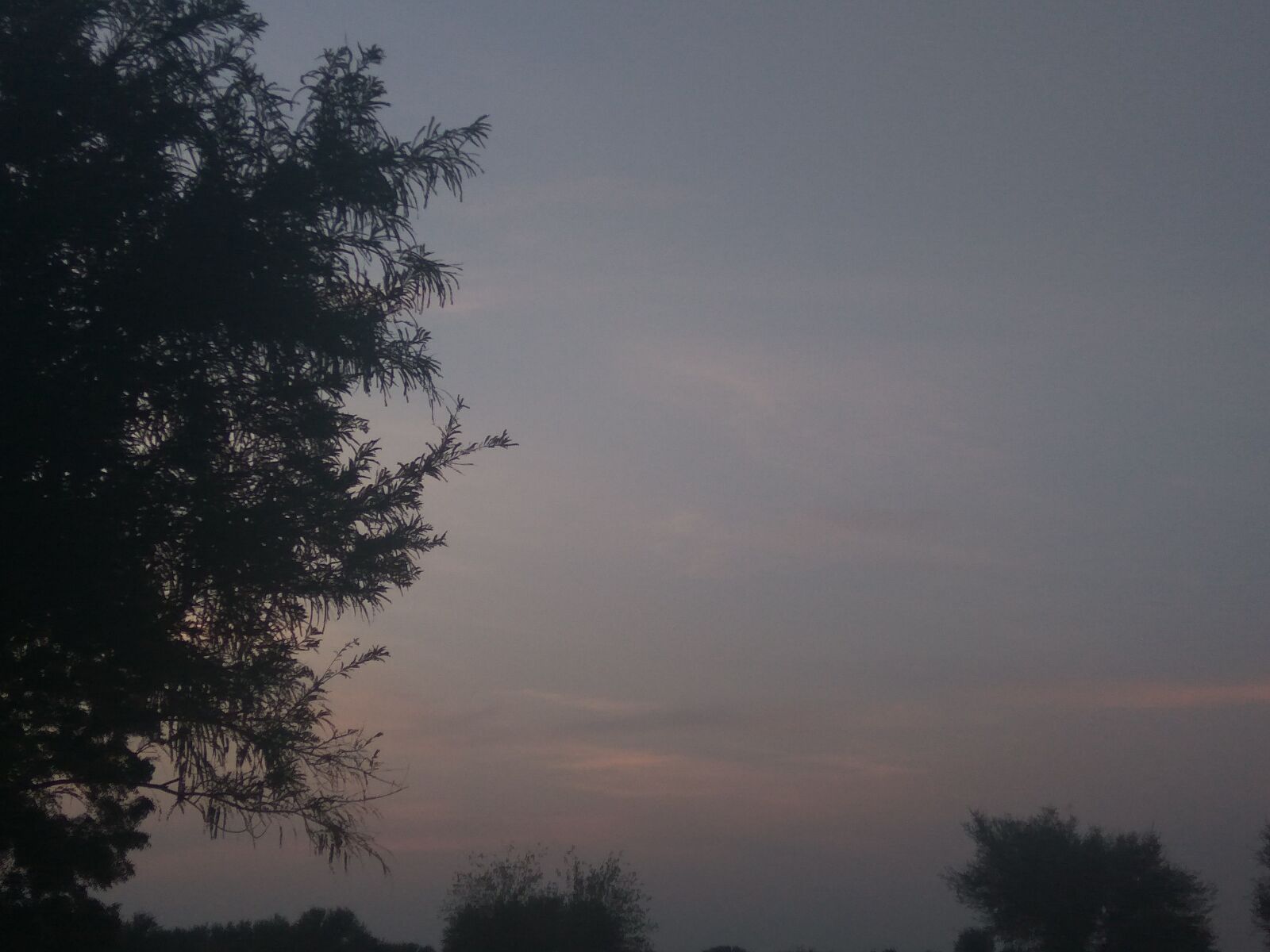 Xiaomi Redmi Note3 sample photo. Morning, sun, ray, of photography