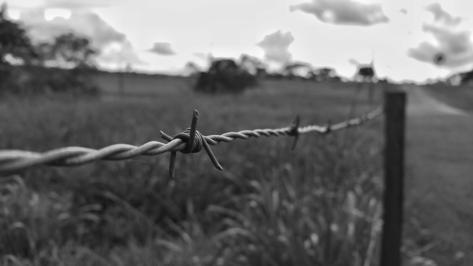 Samsung Galaxy Note4 sample photo. Barb wire, fence, black photography