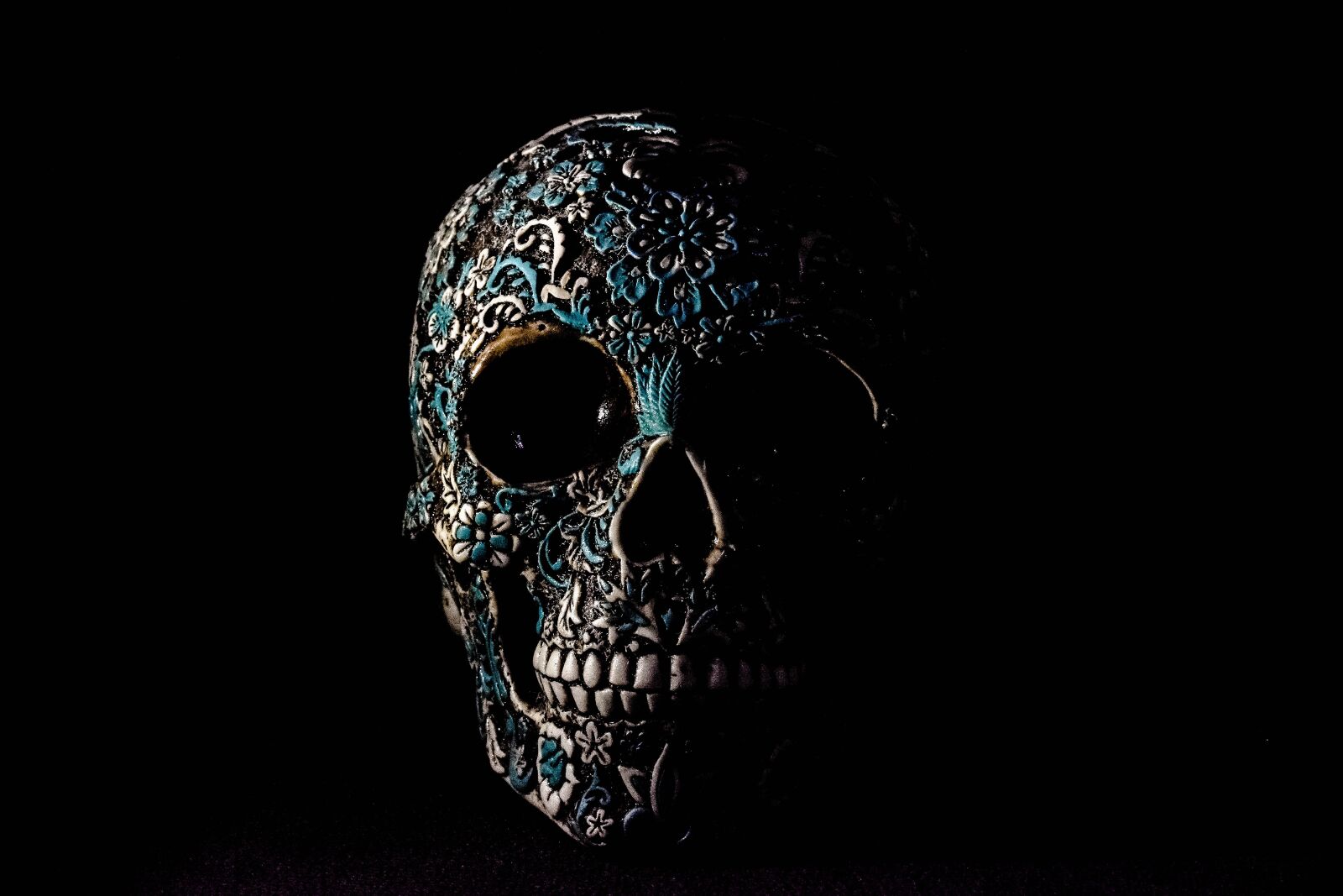 Nikon D5500 sample photo. Skull, bone, mexican photography