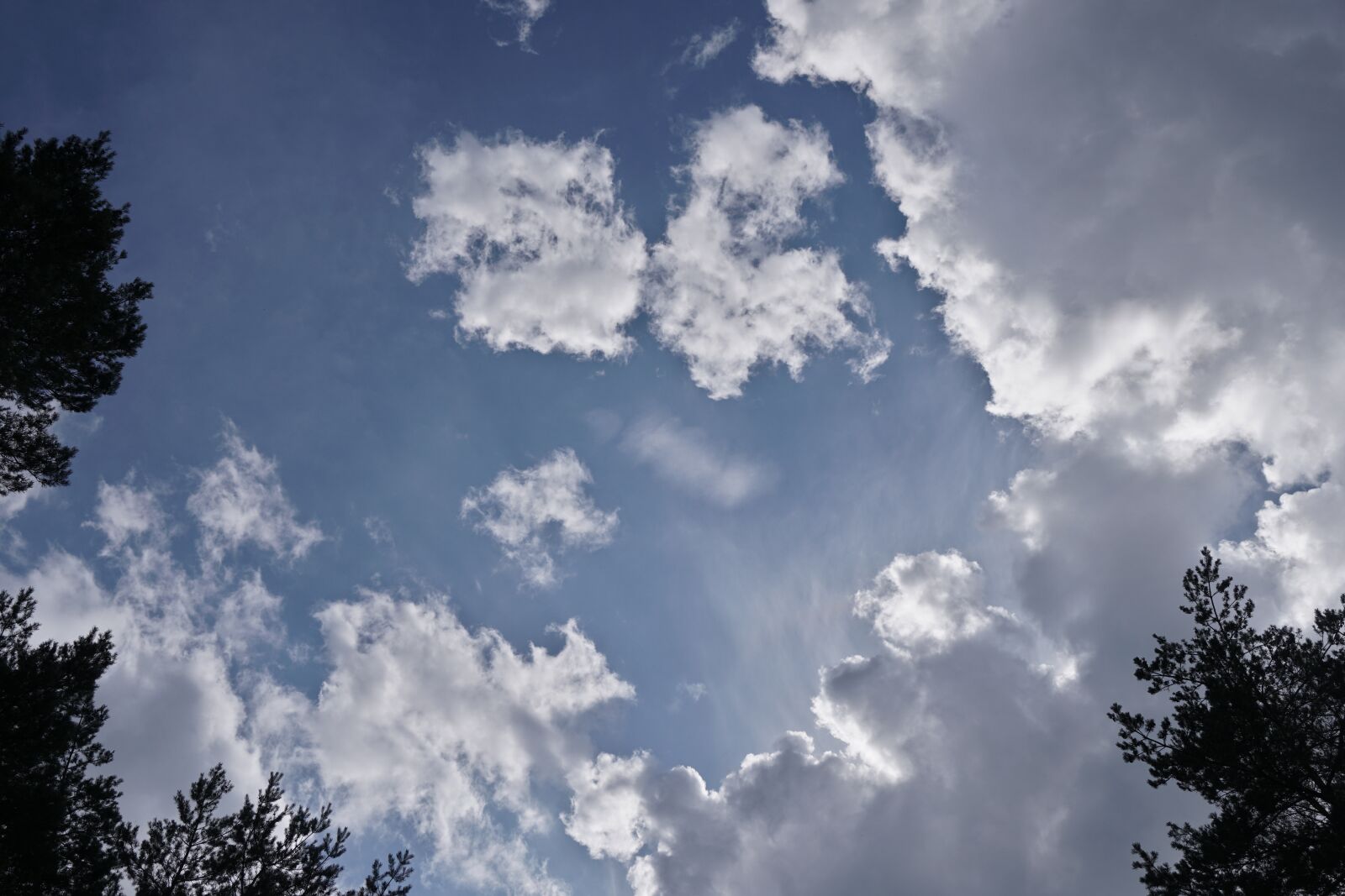 Sony a6300 sample photo. Sun, weather, cumulus photography
