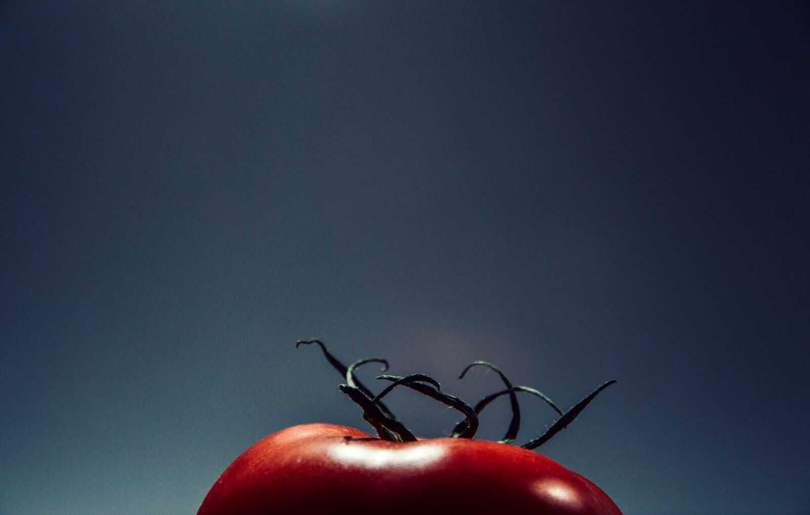 Nikon D3200 sample photo. Round, red, fruit photography