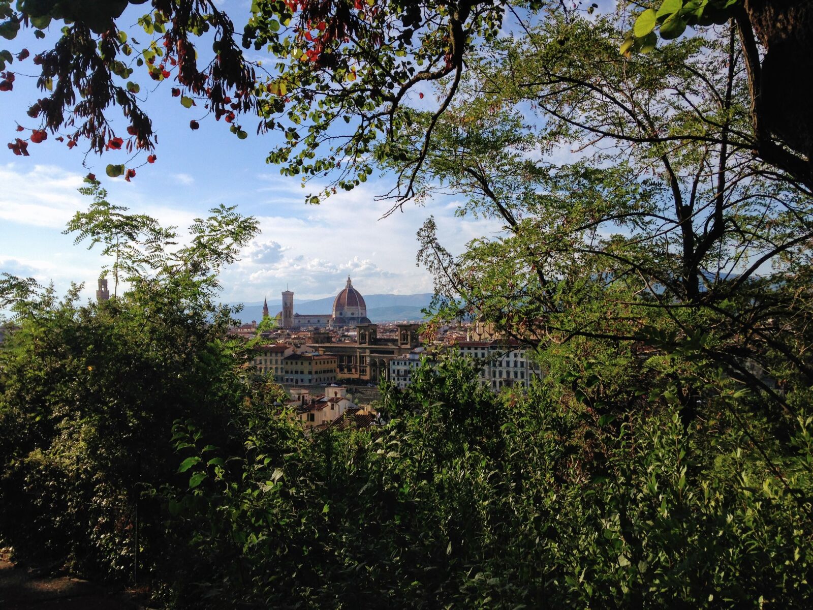 iPhone 5c back camera 4.12mm f/2.4 sample photo. Florence, italy, firenze photography