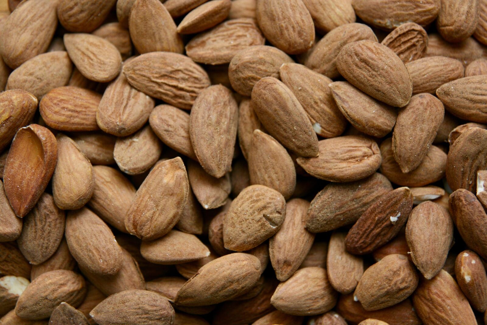Canon EOS 400D (EOS Digital Rebel XTi / EOS Kiss Digital X) sample photo. Almonds, food, bake photography
