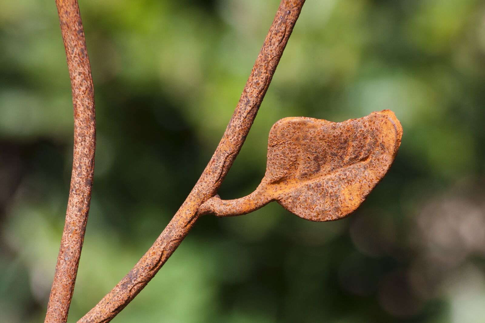 Canon EOS 50D sample photo. Leaf, fence, iron fence photography