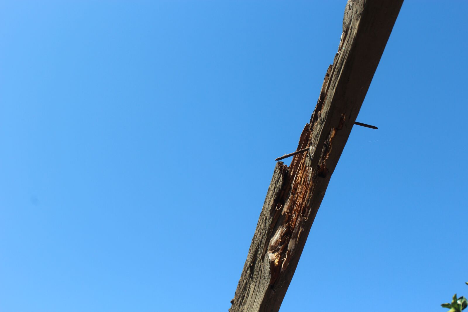Canon EOS 1200D (EOS Rebel T5 / EOS Kiss X70 / EOS Hi) sample photo. Construction, wood, wooden photography