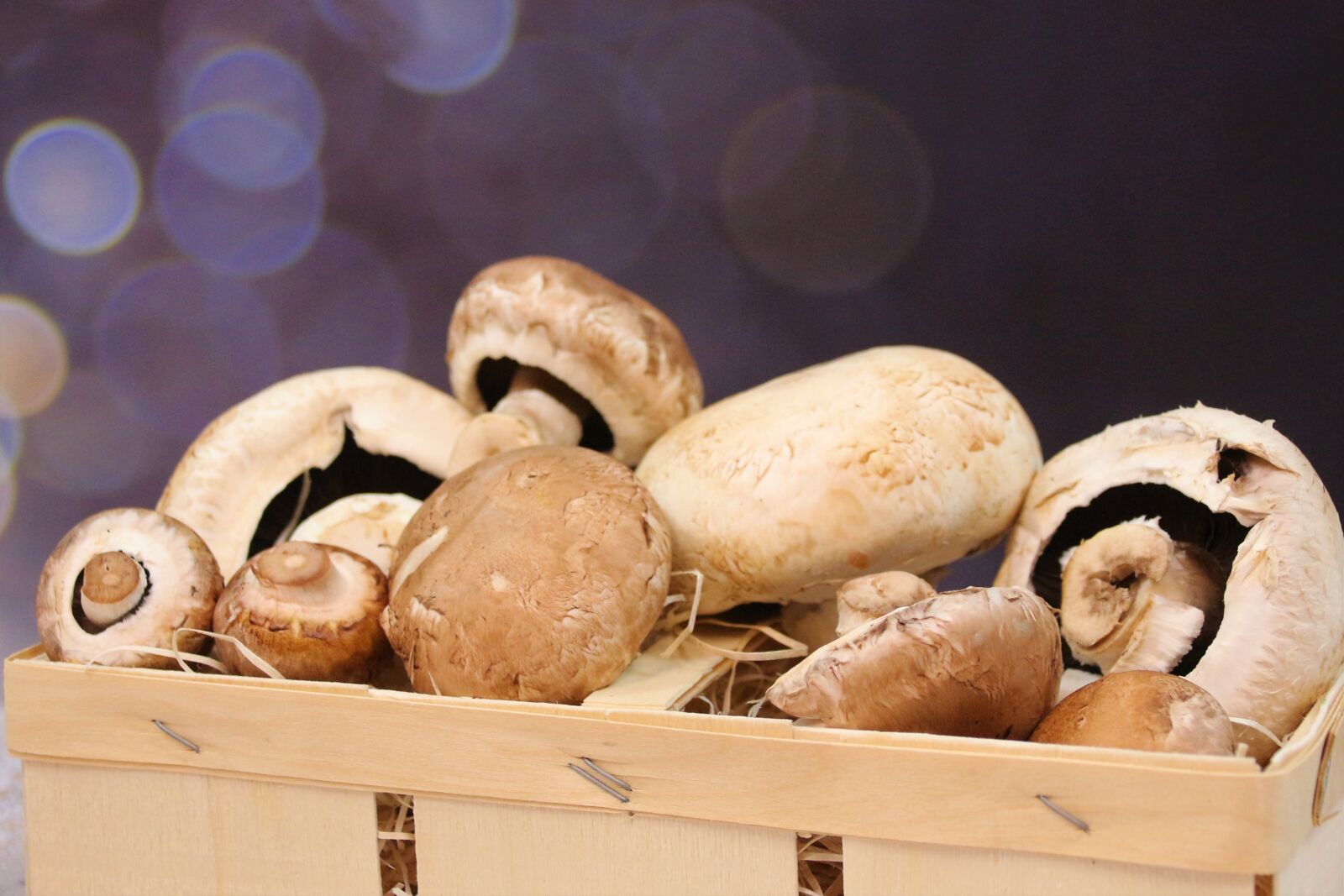 Canon EOS 700D (EOS Rebel T5i / EOS Kiss X7i) sample photo. Mushrooms, delicious, nutrition photography