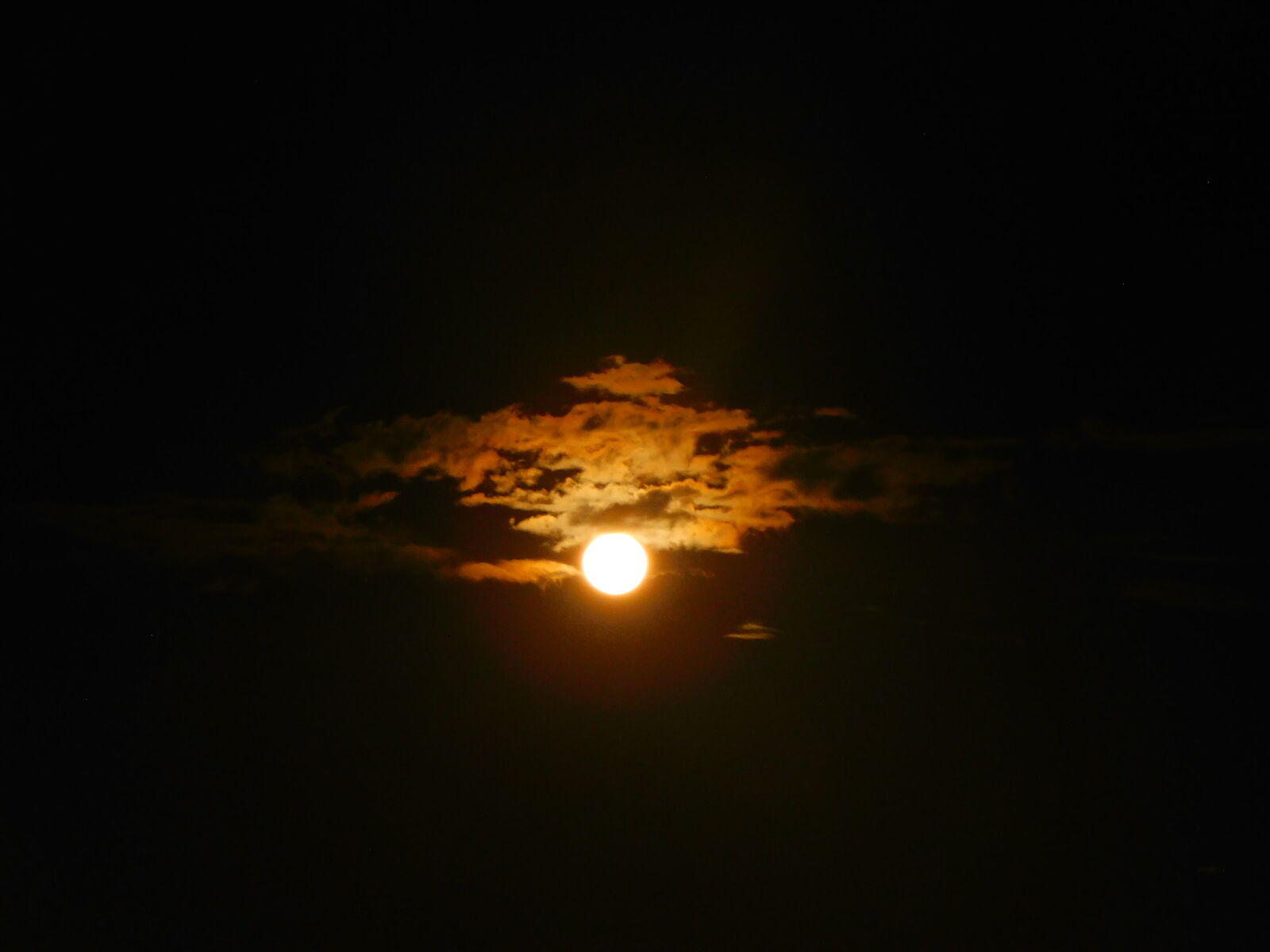 Nikon Coolpix B500 sample photo