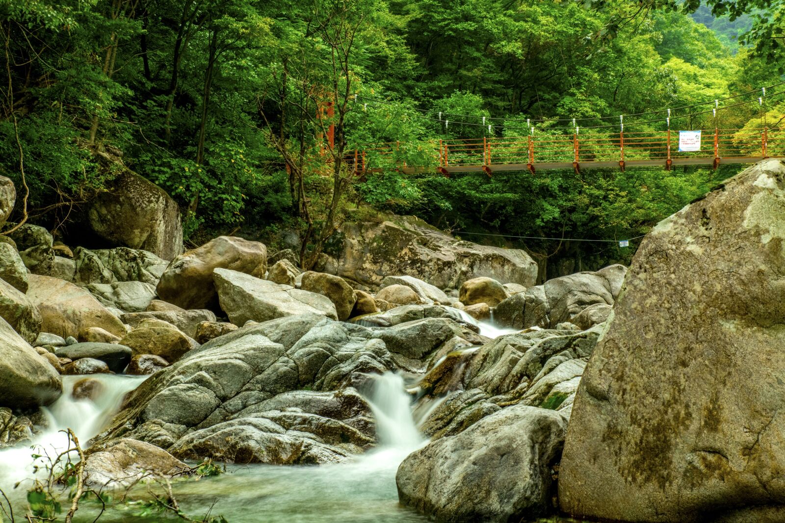 Tamron SP 24-70mm F2.8 Di VC USD sample photo. Jiri, valley, korea's natural photography