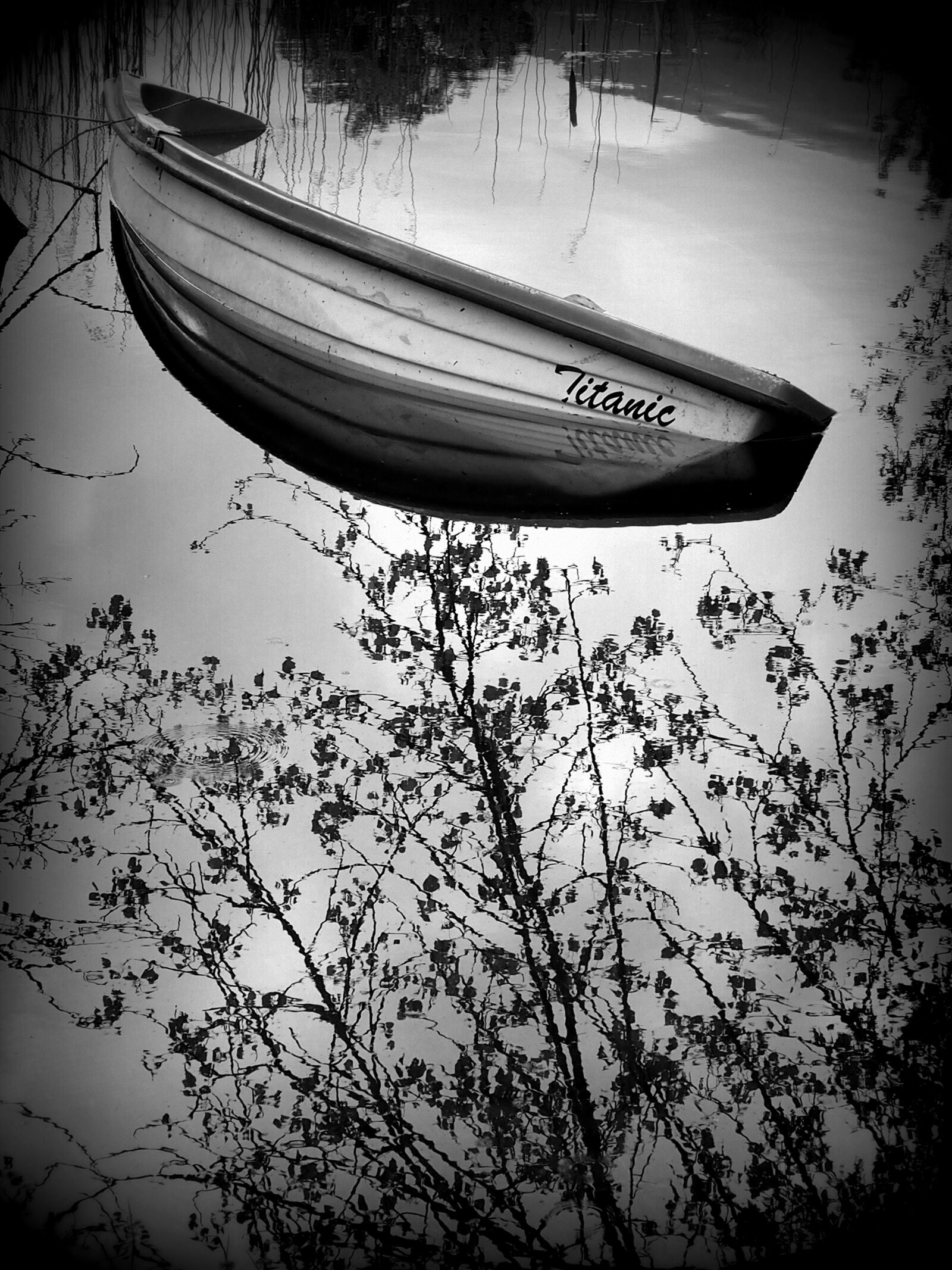 Olympus OM-D E-M5 + OLYMPUS M.12-50mm F3.5-6.3 sample photo. Boat, lake, trees photography