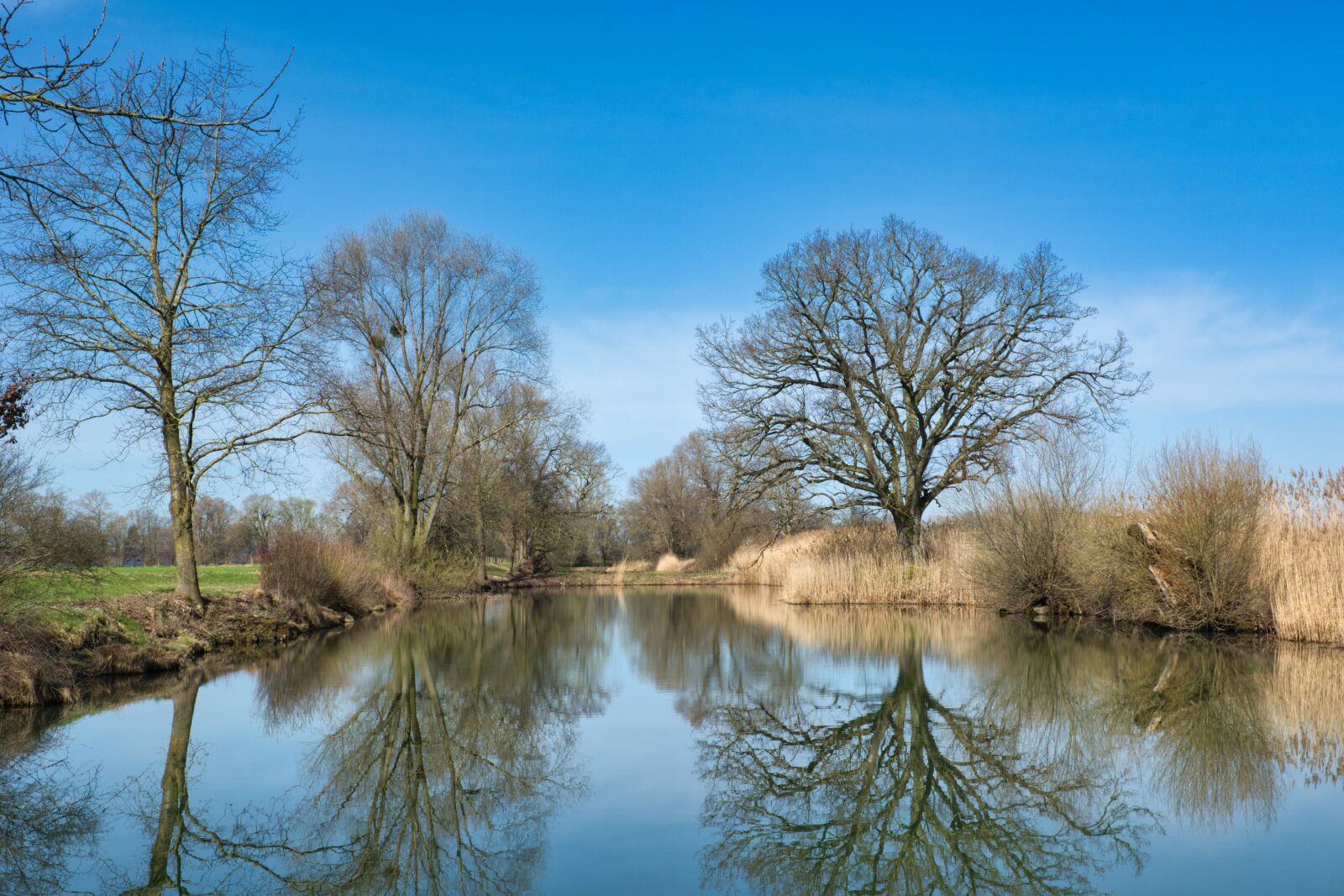 Nikon D7100 sample photo. Waters, trees, silhouettes photography