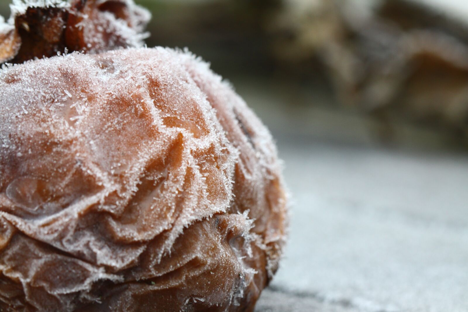 Canon EOS 50D sample photo. Frost, fruit, cold photography