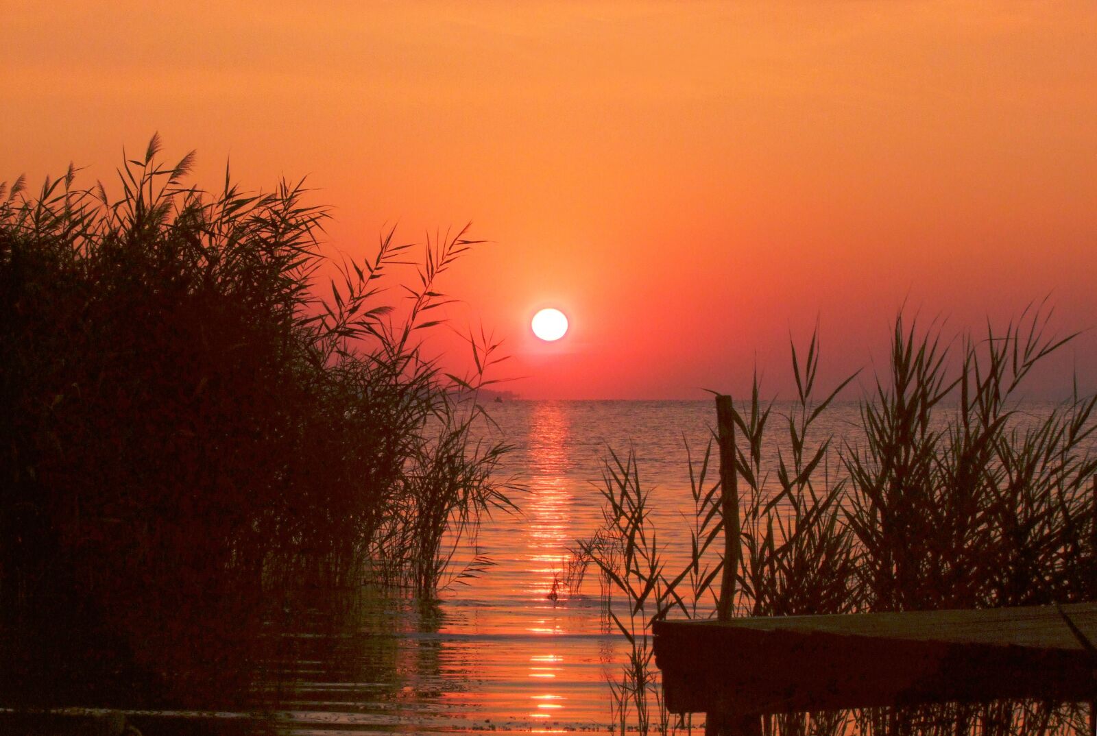 Fujifilm FinePix S100fs sample photo. Sunrise, dawn, lakeside photography