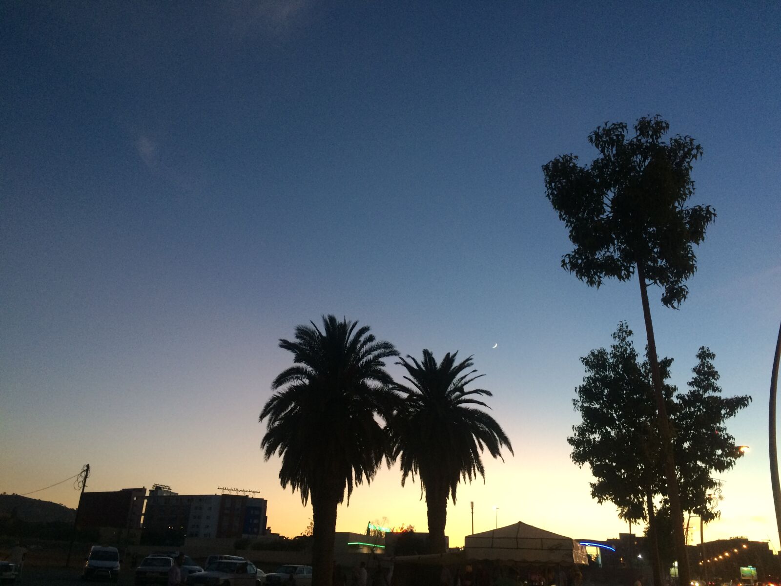 iPhone 5s back camera 4.15mm f/2.2 sample photo. Half, moon, palm photography