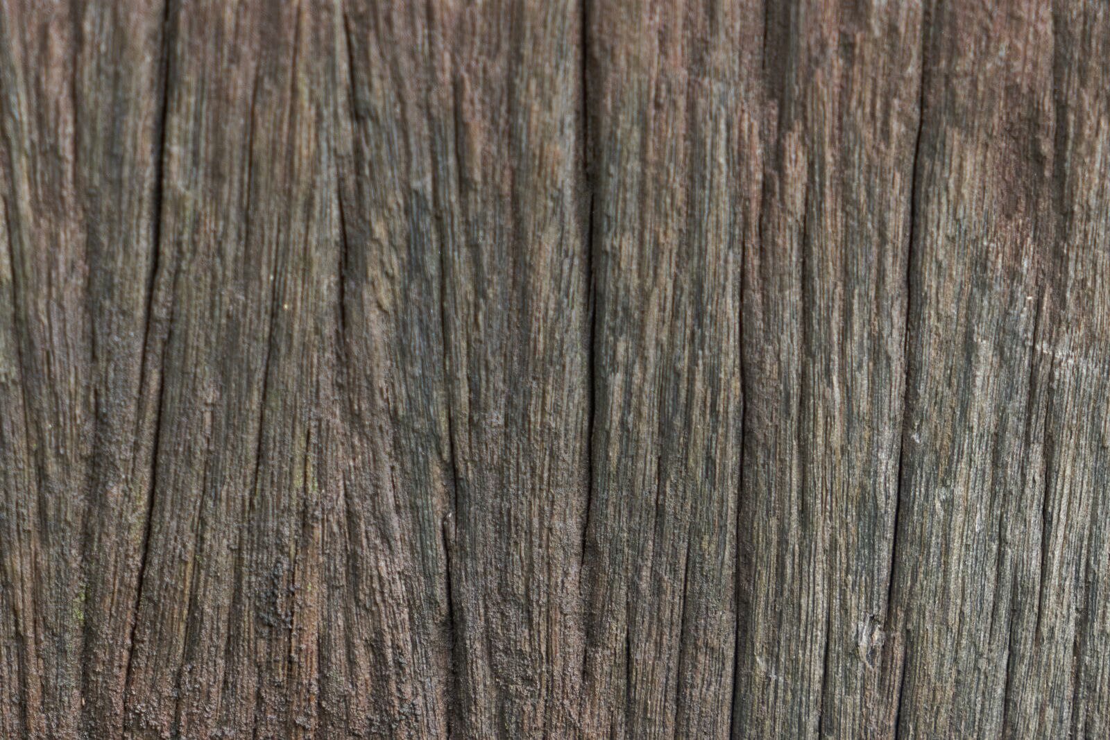 Sony a7R II sample photo. Wood, timber, texture photography