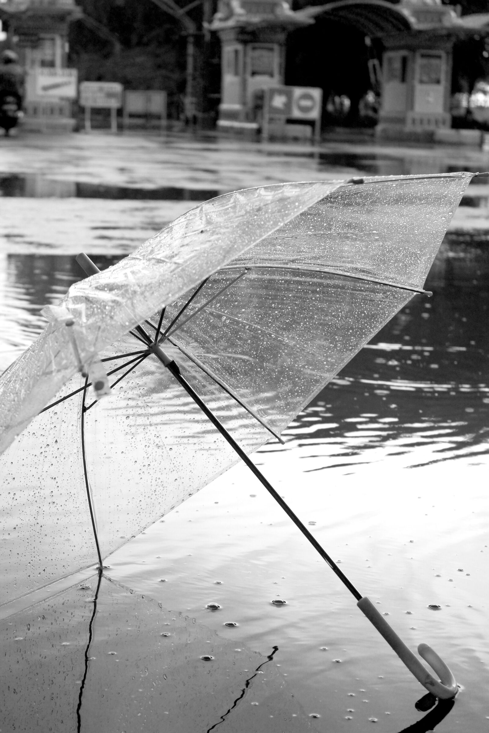 Canon EOS 600D (Rebel EOS T3i / EOS Kiss X5) sample photo. Clear umbrella, transparent, japan photography
