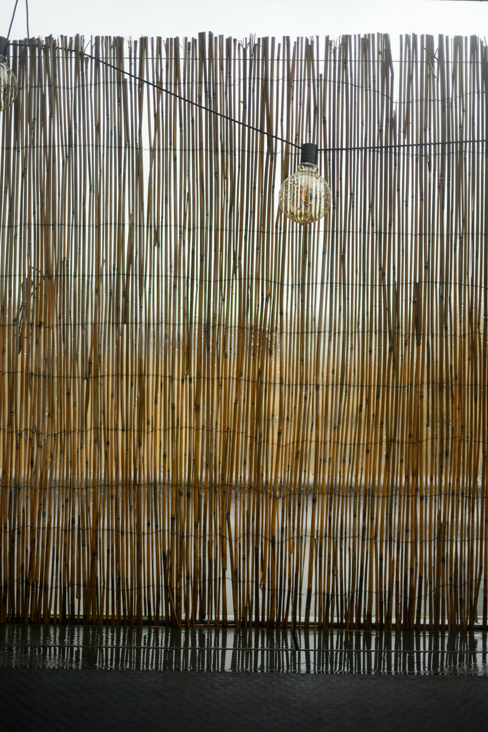 Nikon Z8 sample photo. Lamp by the fence photography