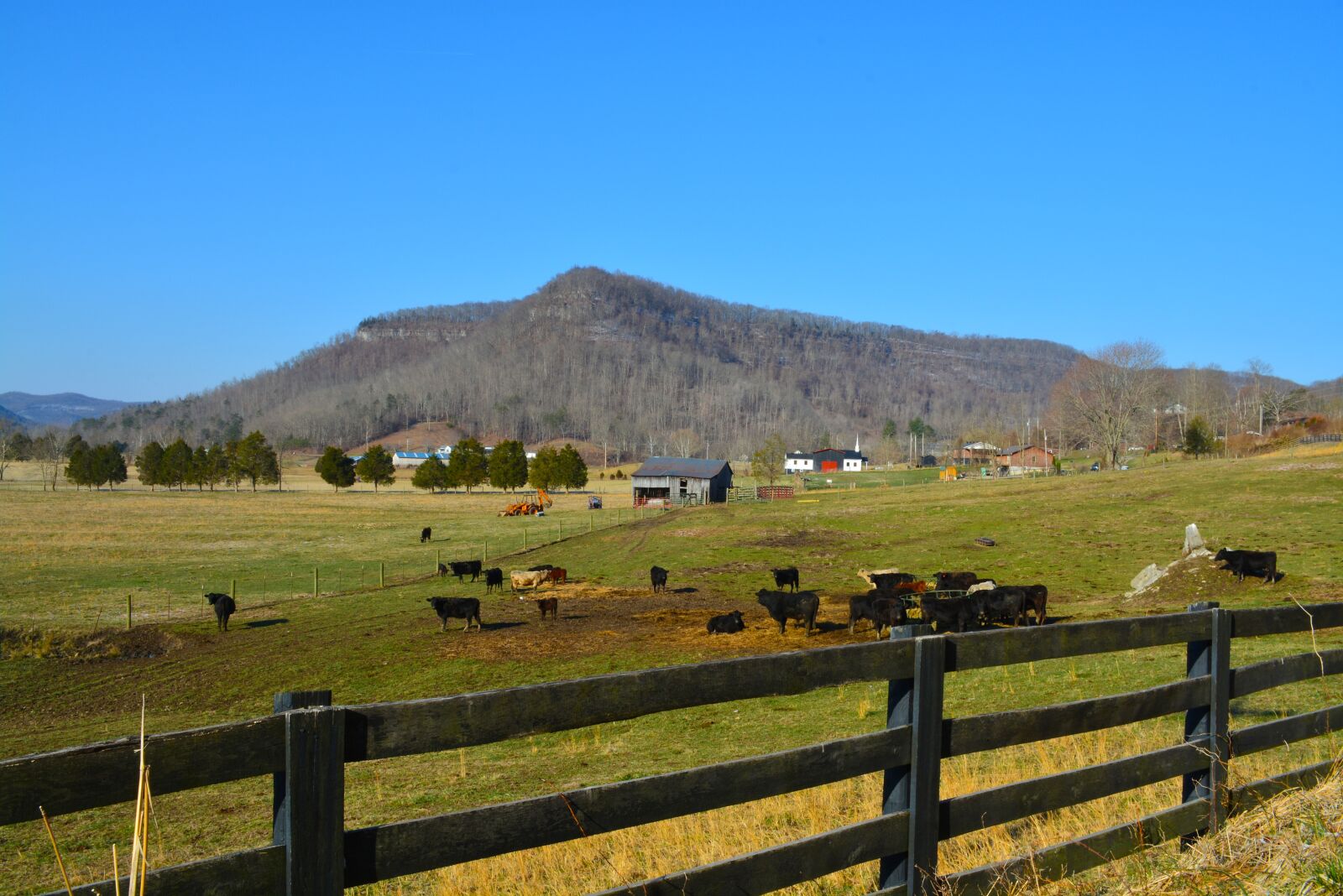 Nikon D5200 sample photo. Kentucky, farm, scenic photography