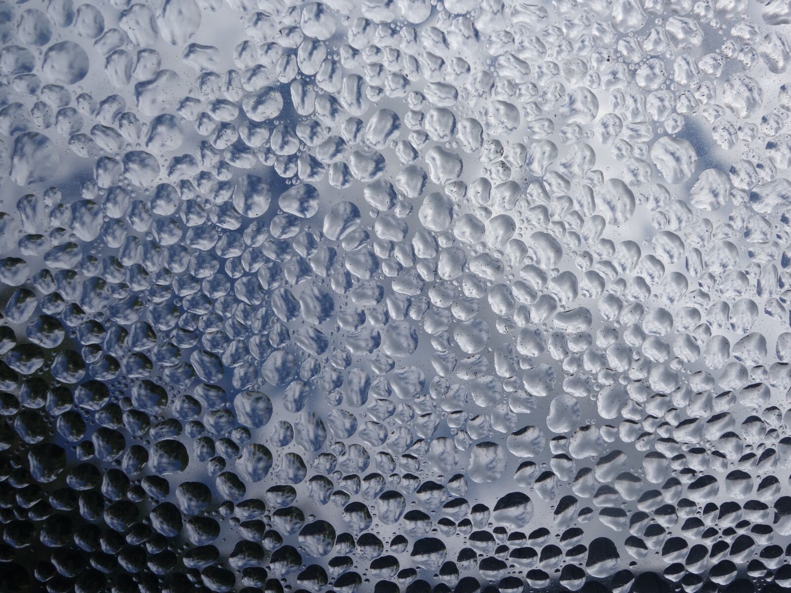 Sony Cyber-shot DSC-RX100 II sample photo. Drop of water, condensation photography