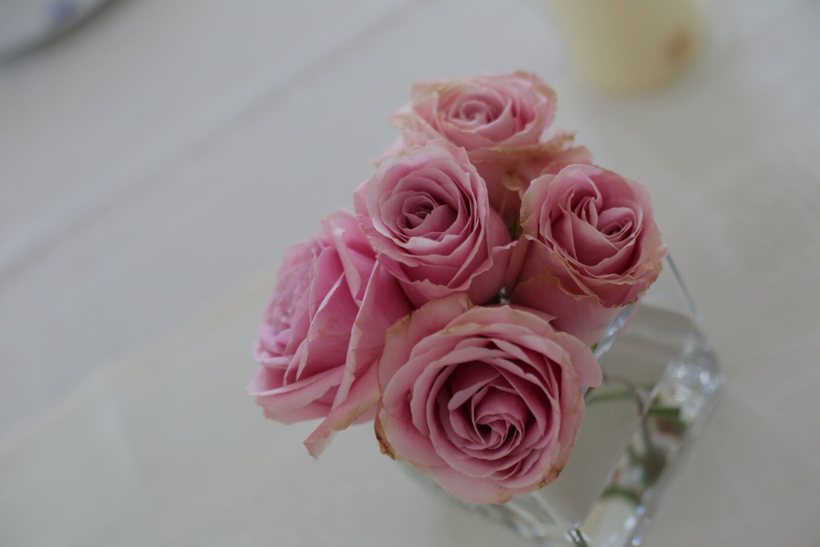 Canon EOS 5D Mark III sample photo. Roses, pinkish, water, vase photography
