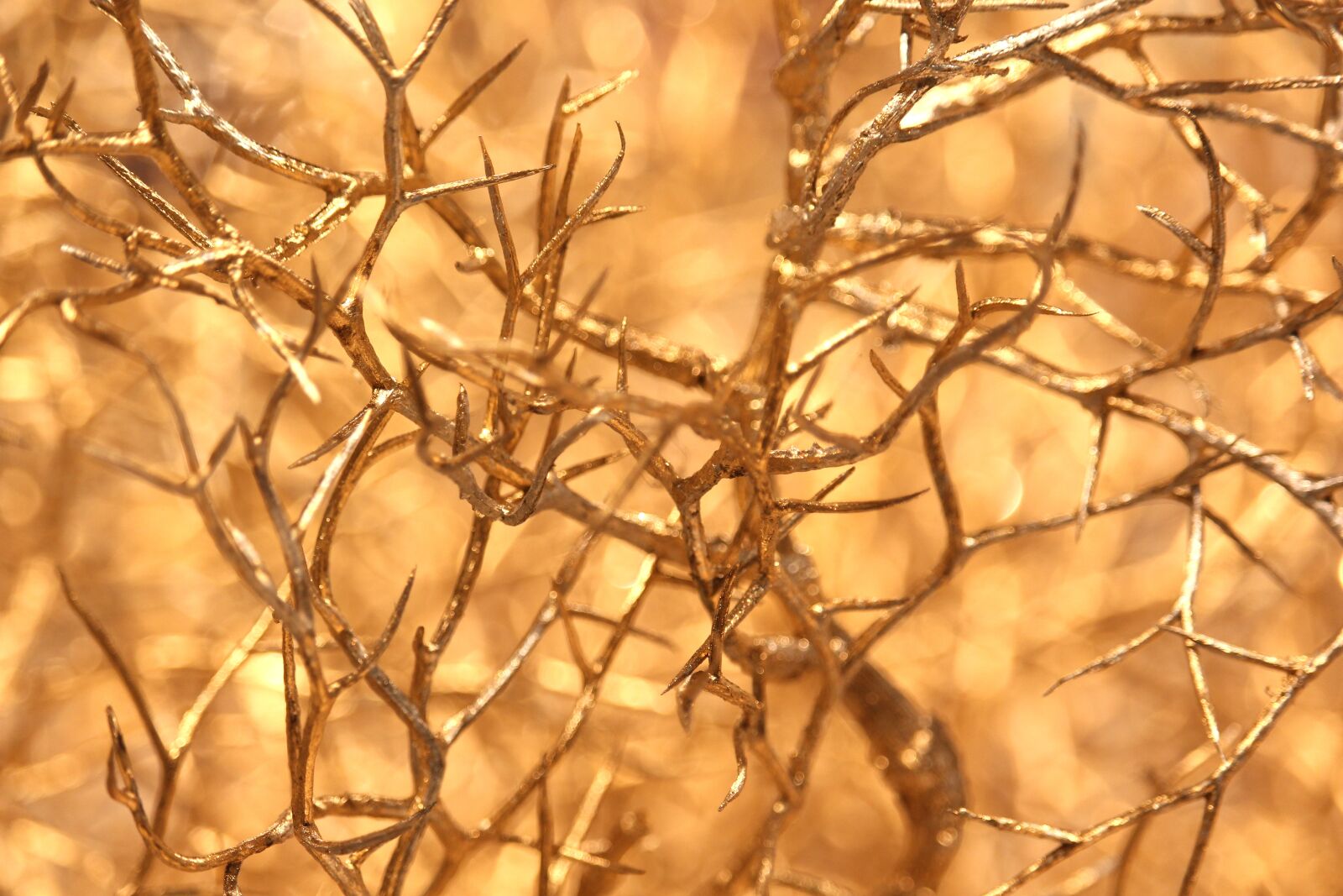 Canon EF-S 55-250mm F4-5.6 IS STM sample photo. Gloss, golden branch, christmas photography