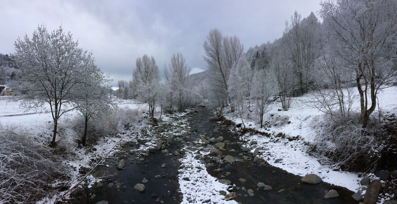 Apple iPhone 5s sample photo. Cold, dark, clouds, forest photography