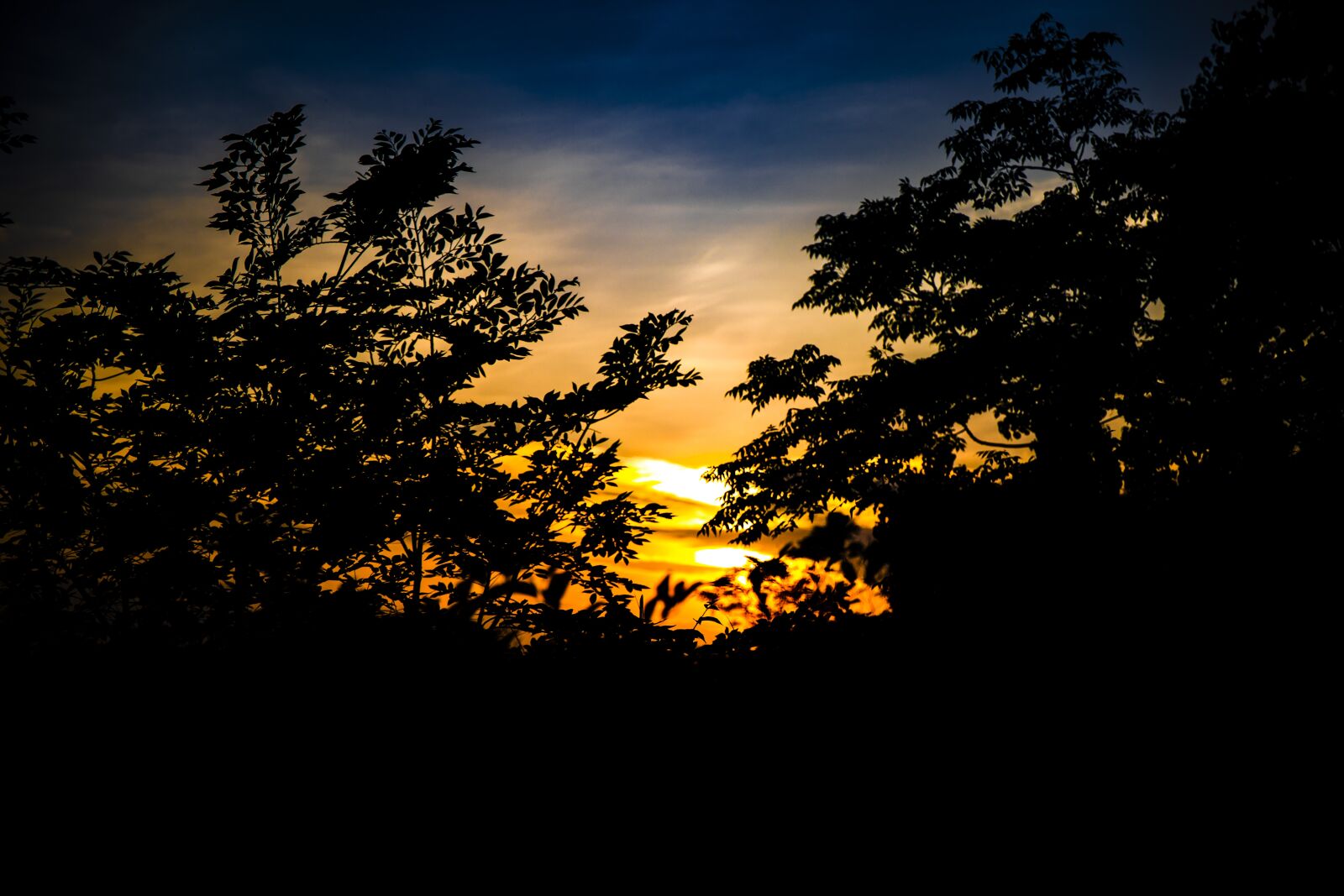 Canon EOS 6D Mark II sample photo. Sunset, sunlight, horizon photography