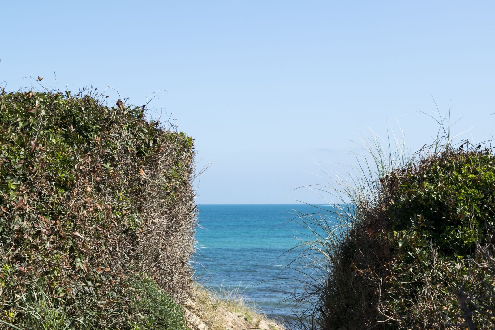 Nikon D5300 sample photo. Sea, nature, beach photography